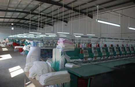 �z������I(l��ng)���(y��ng)ë���ĸ߶��Ј�(ch��ng)